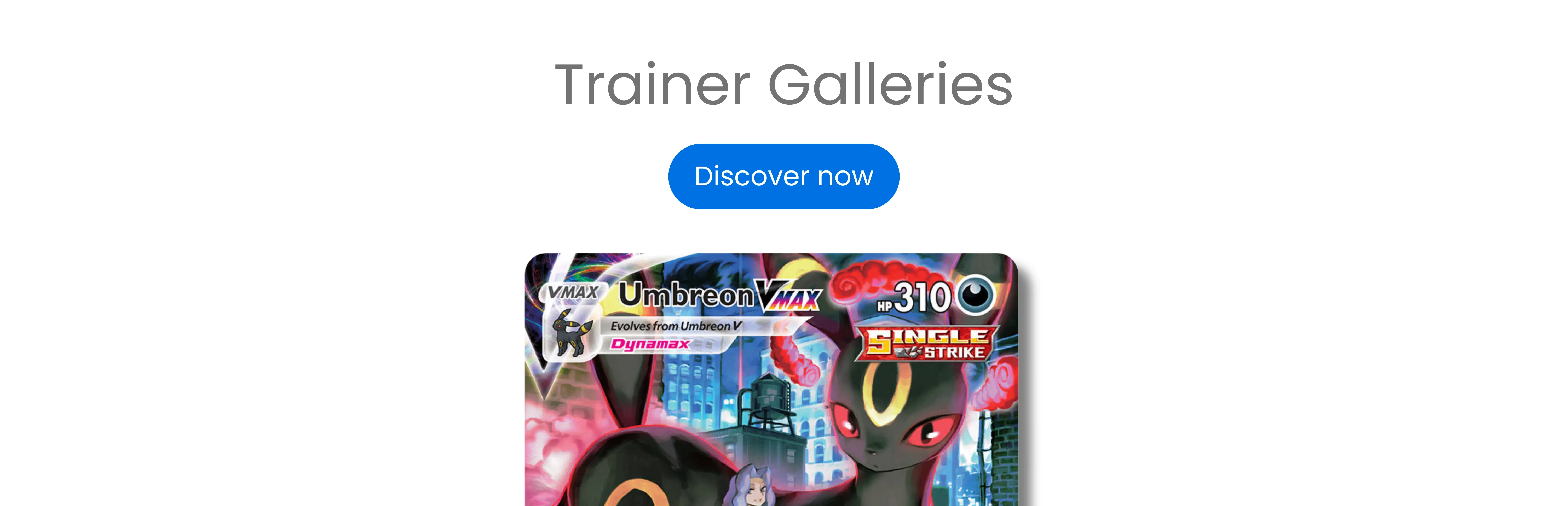 Trainer Galleries