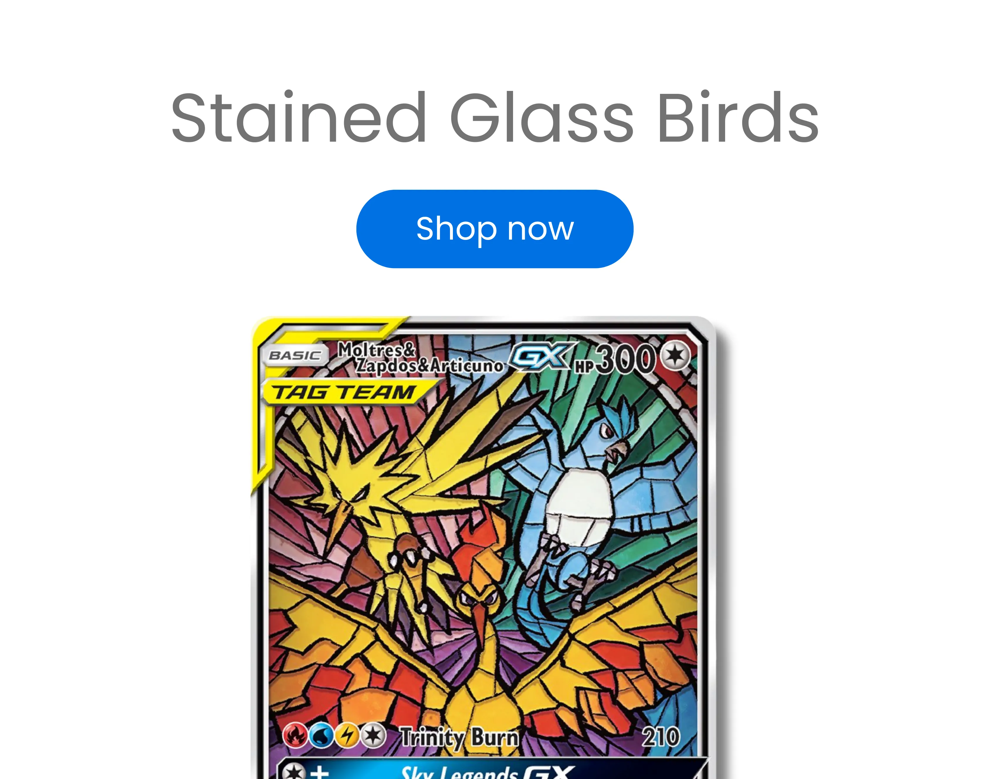 Birds