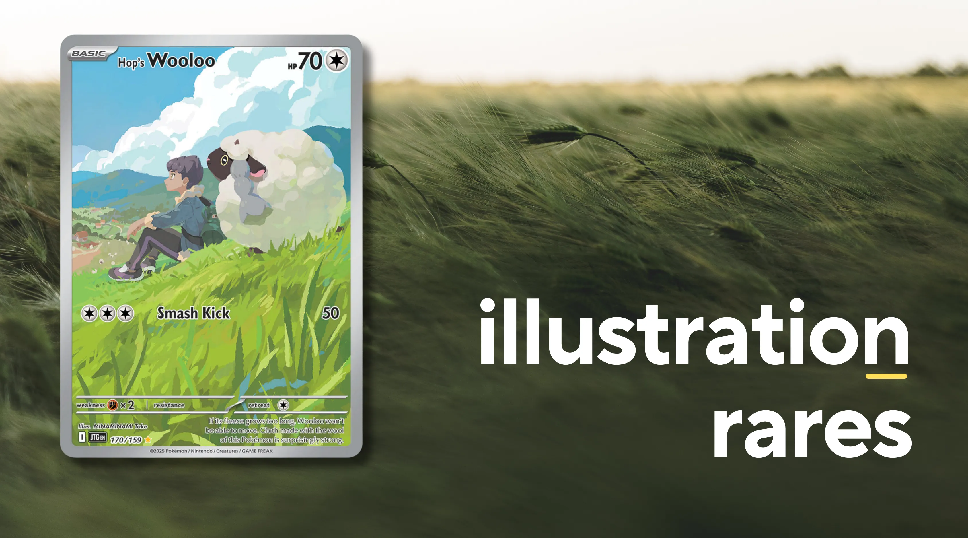 Illustration Rares