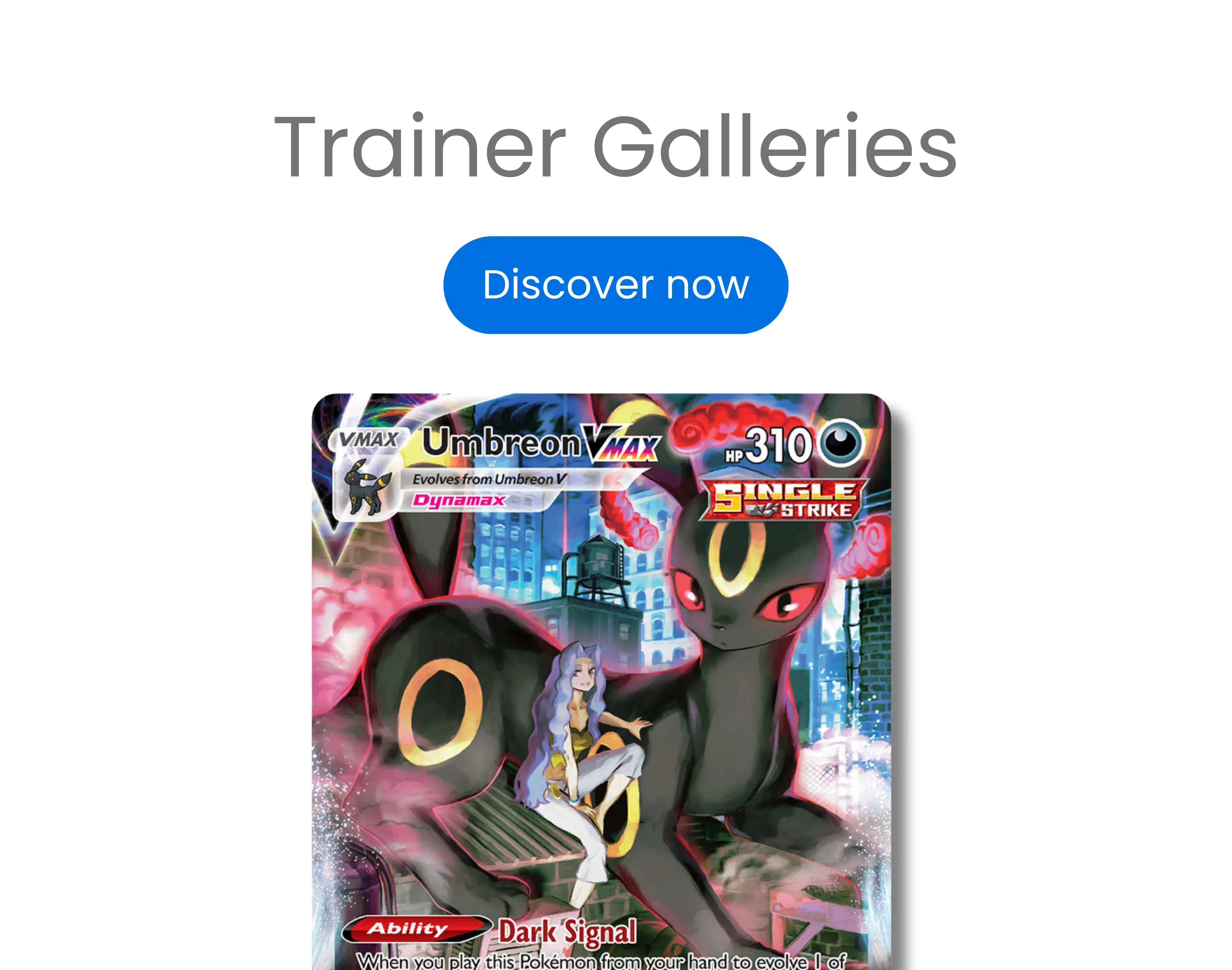 Trainer Galleries